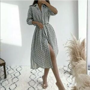 ZARA Embroidered shirt dress New